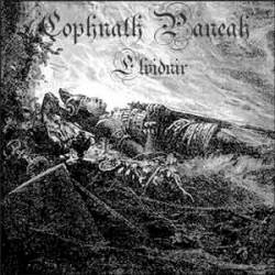 Cophnath Paneah : Elvidnir